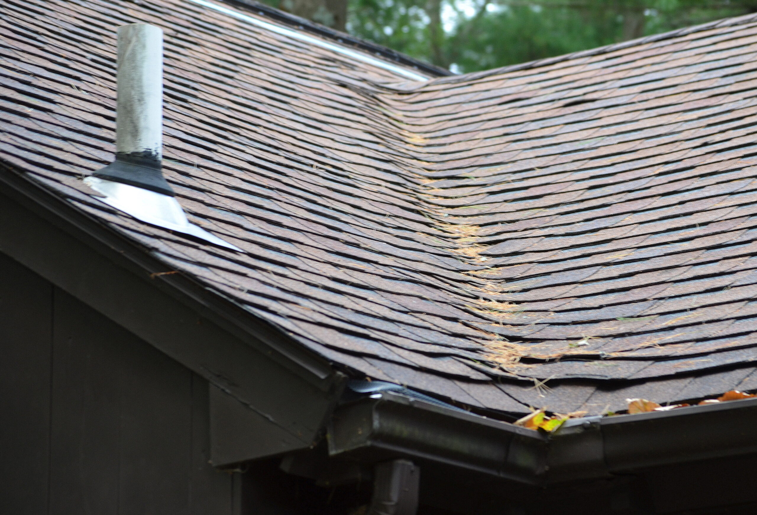 Roof Cleaning in Canton, MA